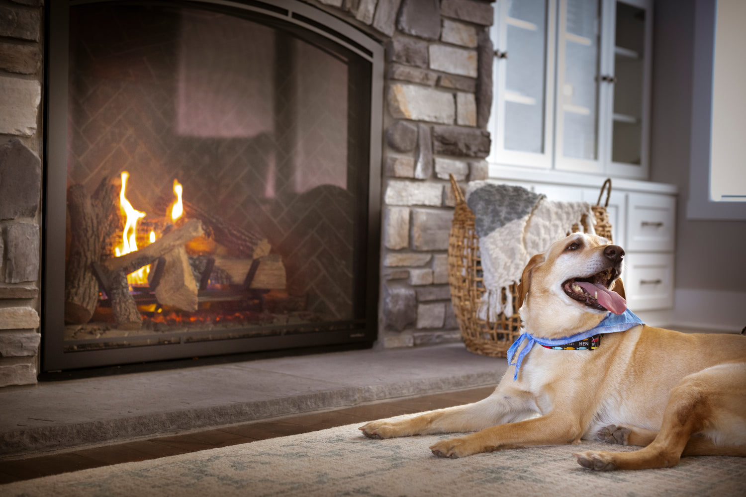 Dog laying in front of a lit fireplace inside a home